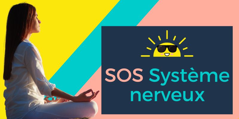 Bannière formation système nerveux